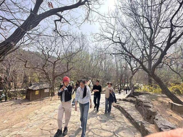 春染兰陵花正好，与临沂文旅共赴一场“花事盛宴”