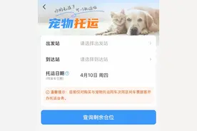 宠物猫、狗办理高铁托运，有哪些注意事项，价格多少？图片