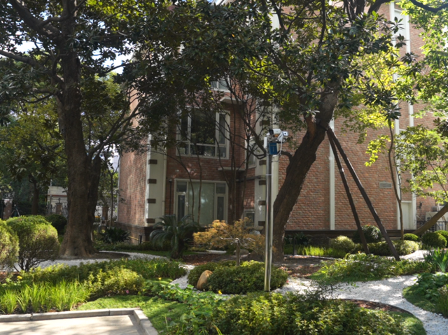 全市首个！静安这个商圈旁，竟藏着居民区里的“专业古树园”