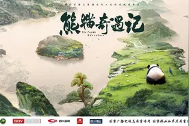 “大熊猫的存在，并不是为了取悦人类”图片