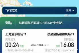 东航上海飞悉尼航班返航，因“飞机起落架安全销未取下”图片