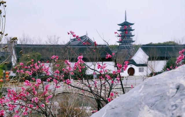 一日闲，两日慢，三日深度玩！满满年味看青浦→