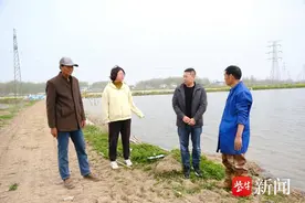 连云港灌南：连片“稻虾田”勾勒水上“春耕图”图片