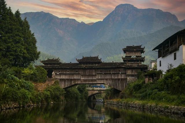 这座小城靠“香菇”火出圈！浙西南秘境，美食美景藏不住了