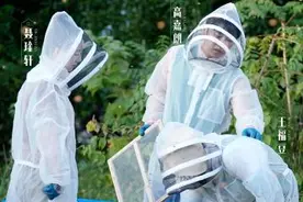 以养蜂日常融入自然 《追花两万里》探索蜜蜂之舞图片