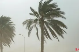 天津将陆地大风预警降为黄色图片