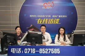 荆州“古城小样板”项目最新进展来了图片