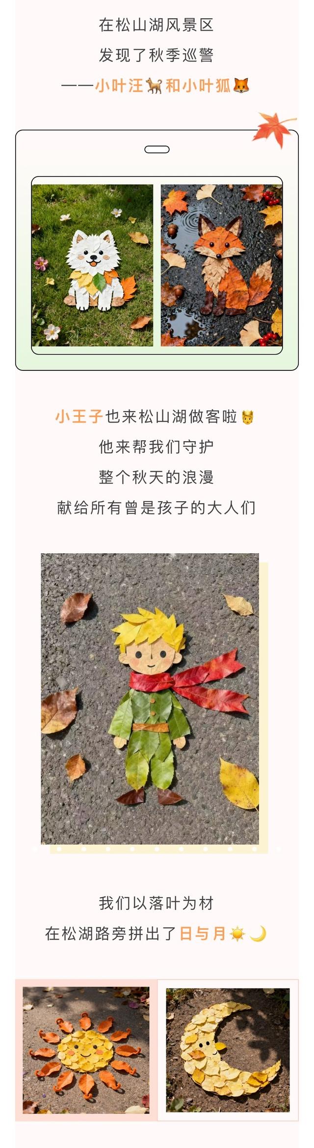 最美松湖｜烦恼No，捡秋Go！来这里一键切换治愈模式