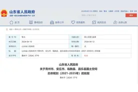 山东省政府批复，明确青州市、安丘市、临朐县、昌乐县发展定位图片