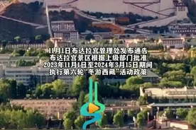 今年11月1日至明年3月15日，布达拉宫实行免费预定免费参观图片