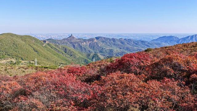 漫山红叶盛如火！这座山还可以远眺北京城