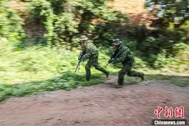 广西钦州武警特战队员开展丛林对抗演练图片