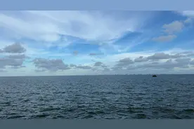 畅通向海动脉 防城港跑出发展“加速度”图片