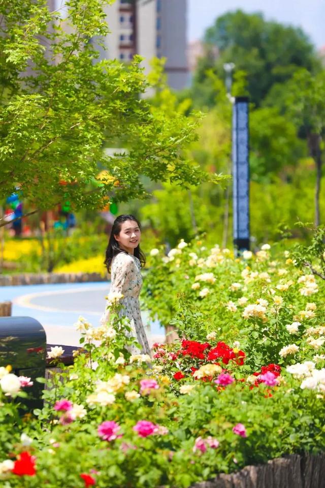临夏市：一座把“浪漫”写进马路牙子的城市