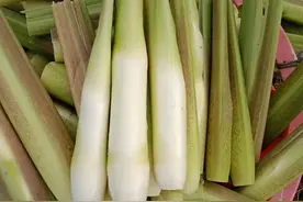 辨词：茭白到底是啥？图片