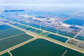 揽风、借光、驭热！一文读懂东营如何由油城变绿城图片