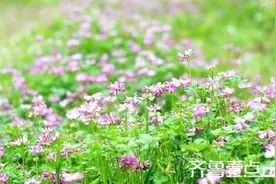 散文：春天来了图片