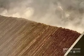 宜宾白酒业向3000亿元营收目标迈进  五粮浓香酒企抱团寻路新周期图片