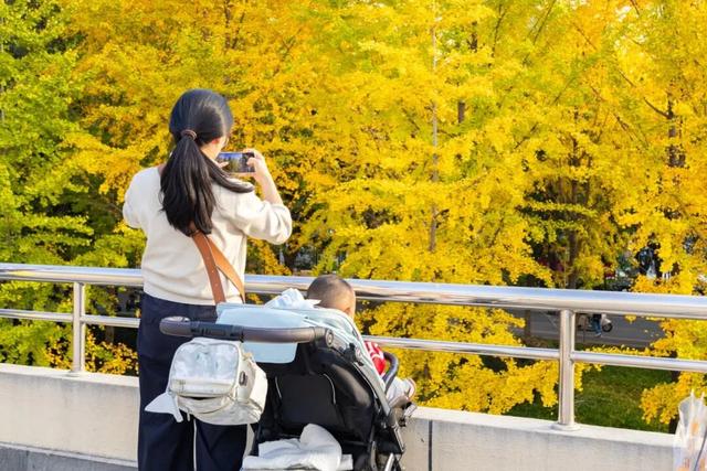 限时绝美！年度顶流！