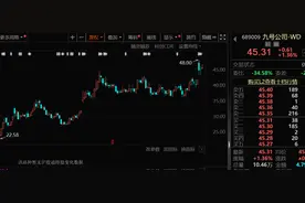 “电驴”卖爆了！逾300家机构盯上这家公司图片