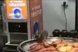 湖北一高速服务区有老鼠啃鸭腿图片