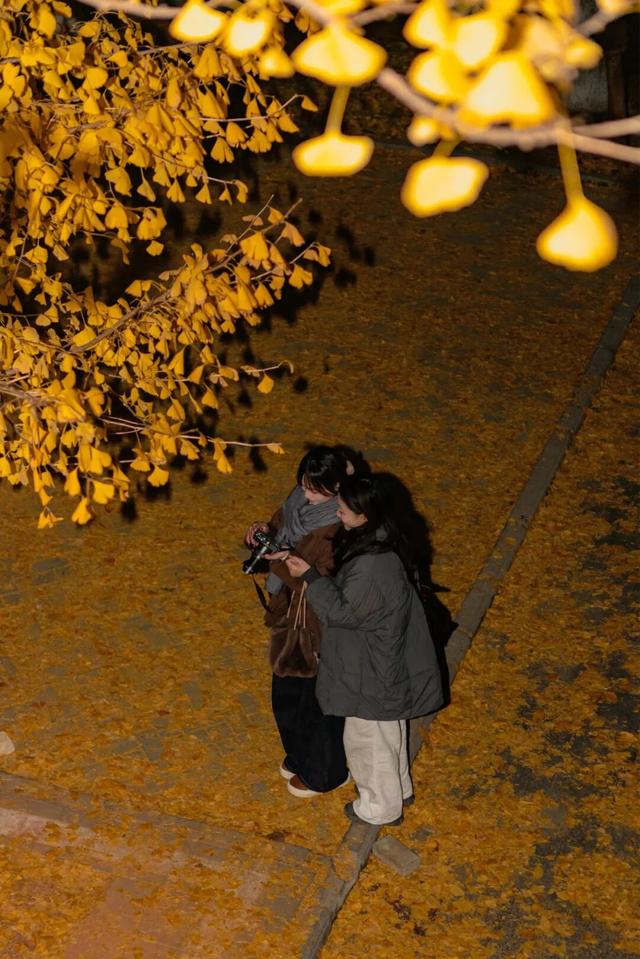 限时绝美！年度顶流！