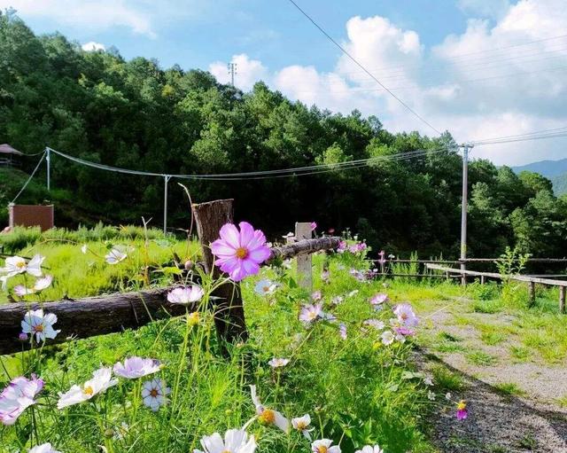 自在嵩明丨层峦碧水、林间野趣、美食垂钓……近郊旅行就来杨桥西山大村子