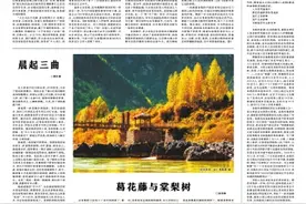 中原风｜风起函谷关图片