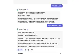 Gemini自曝用百度文心一言训练？谷歌或进行了紧急修复图片