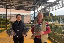 清远连山：人大代表化身“助农主播”，探索“互联网+”履职新路径图片