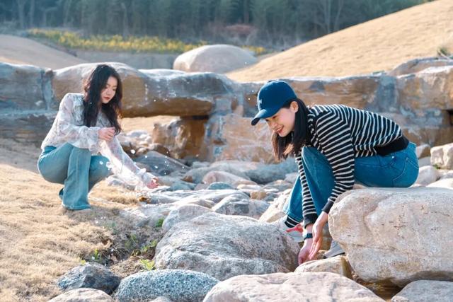 东港，把红叶与暖阳都拥入怀