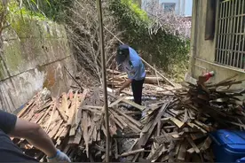 小心蛇出没！高峰期将至，杭州有人家里发现了……图片