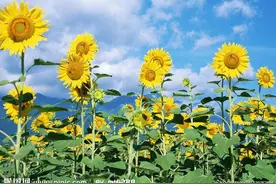 一次遗产公证，让我体验感悟到了别样亲情图片