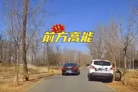 惊险！野生动物园内游客抱孩子下车，狼从背后悄悄靠近……图片