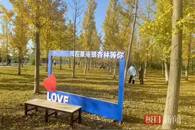 “襄”当出片！湖北襄阳谷城茶庵村新增一块宝藏打卡地图片