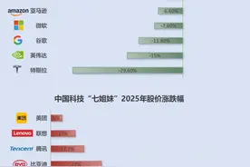 “七姐妹”让位 谁在引领科技股“东升西降”价值重估？图片