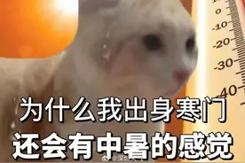 17号台风最新消息！晴热将持续……图片