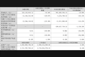 大东南：2023年前三季度亏损425.48万元图片