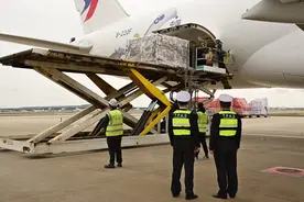 又到智利车厘子成熟时，今年出口中国或再创新高图片