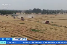 全国麦收过七成！“中原粮仓”河南8500万亩小麦收获已基本结束图片