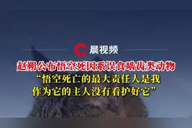 赵朔公布悟空死因系误食啮齿类动物：最大责任人是我，没有看护好它图片