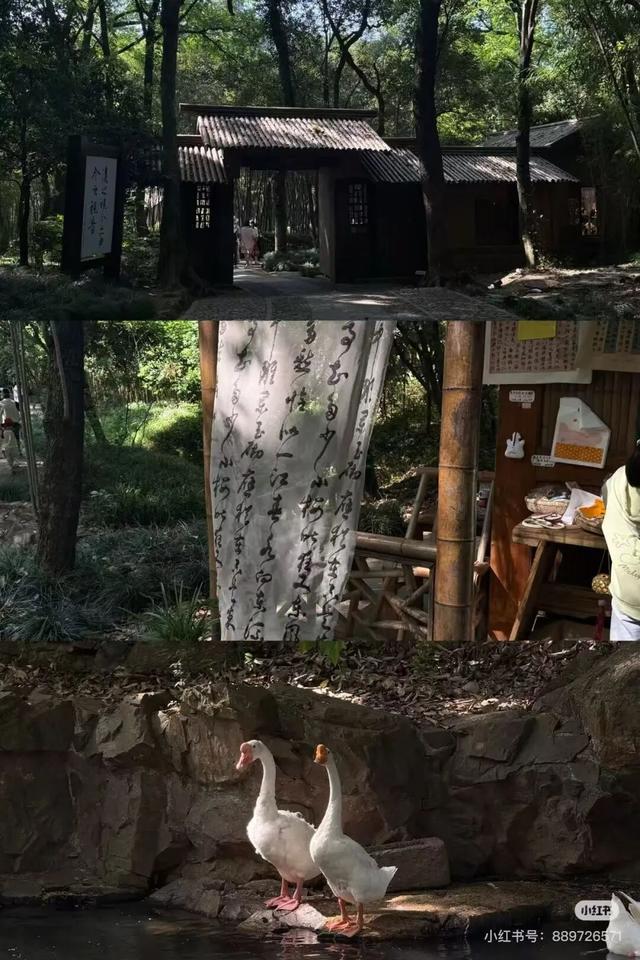 被赞中式美学天花板！绍兴天章寺突然火了，搜索指数暴涨