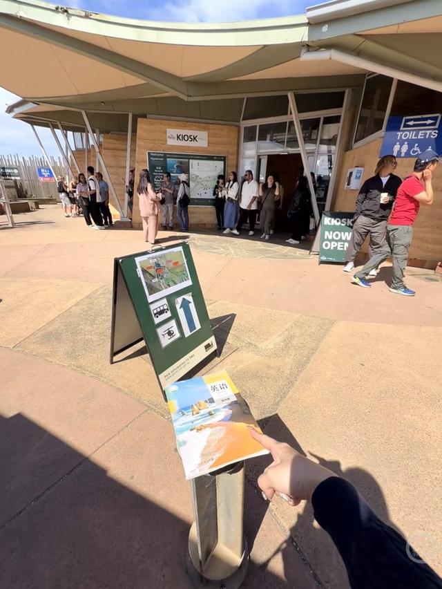 中学教材成海外旅游“接头暗号”！金字塔、大本钟……中国游客“寻书接力”打卡走红