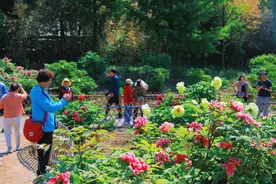 颐和园3D巧克力，景山牡丹果茶……北京市属公园文创火爆上新图片