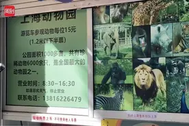 提前1个多小时就“下班”？近2000人高温天暴走……上海多家公园回应图片