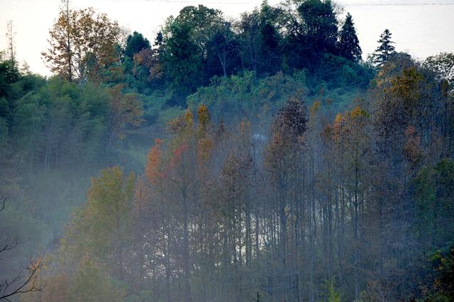 初冬时节 安徽黄山太平湖畔景美如画