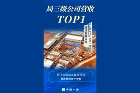 时代争锋！局三级公司营收TOP10榜单火热出炉图片