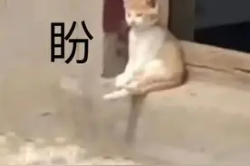 最高温16℃！大风！回温！唐山本周天气↘↗↘图片