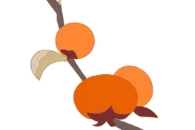 去有风的地方，来一场治愈系的“重固慢生活”图片