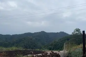 山里藏价值6000亿元黄金？村民：小时候捡的石头里都有金图片